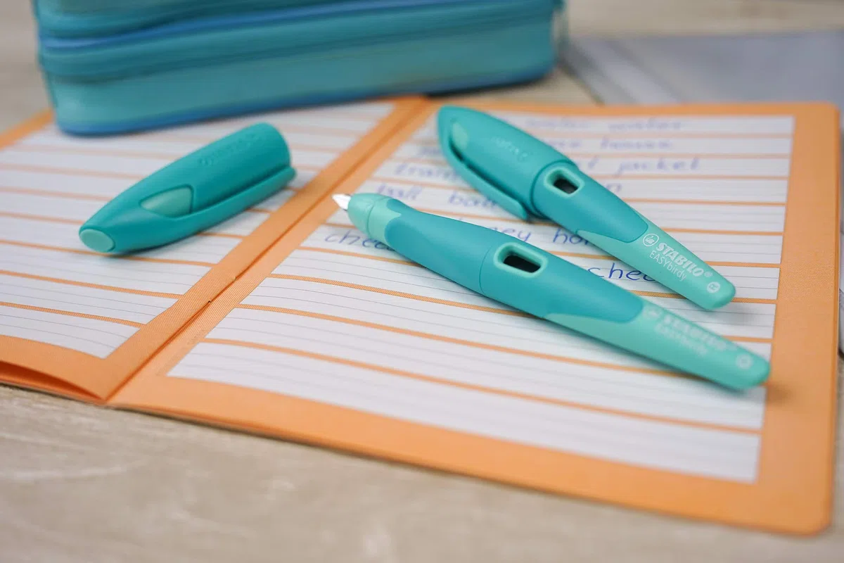 STABILO - Ergonomischer Schulfüller für Rechtshänder mit Anfänger-Feder - EASYbirdy Pastel in aqua grün/mint - inkl. Patrone blau (löschbar) - ohne Einstellwerkzeug