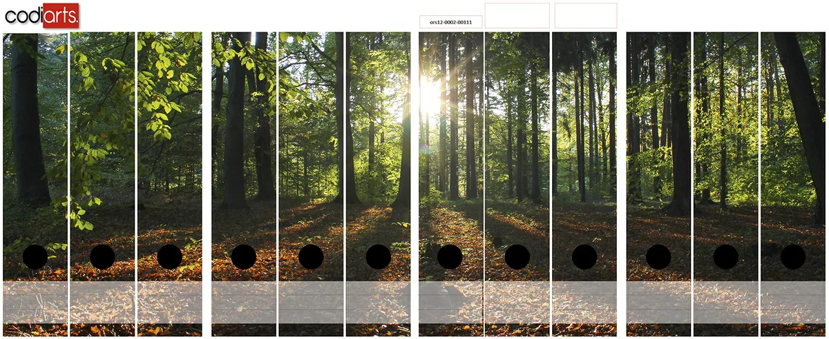 Ordnerrücken selbstklebend für 12 breite Ordner - Buchrücken Etiketten-Set gestantzt mit Griffloch - Ordner-Aufkleber breit - Rückenschilder im Wald-Motiv: Sonnenuntergang auf Waldlichtung