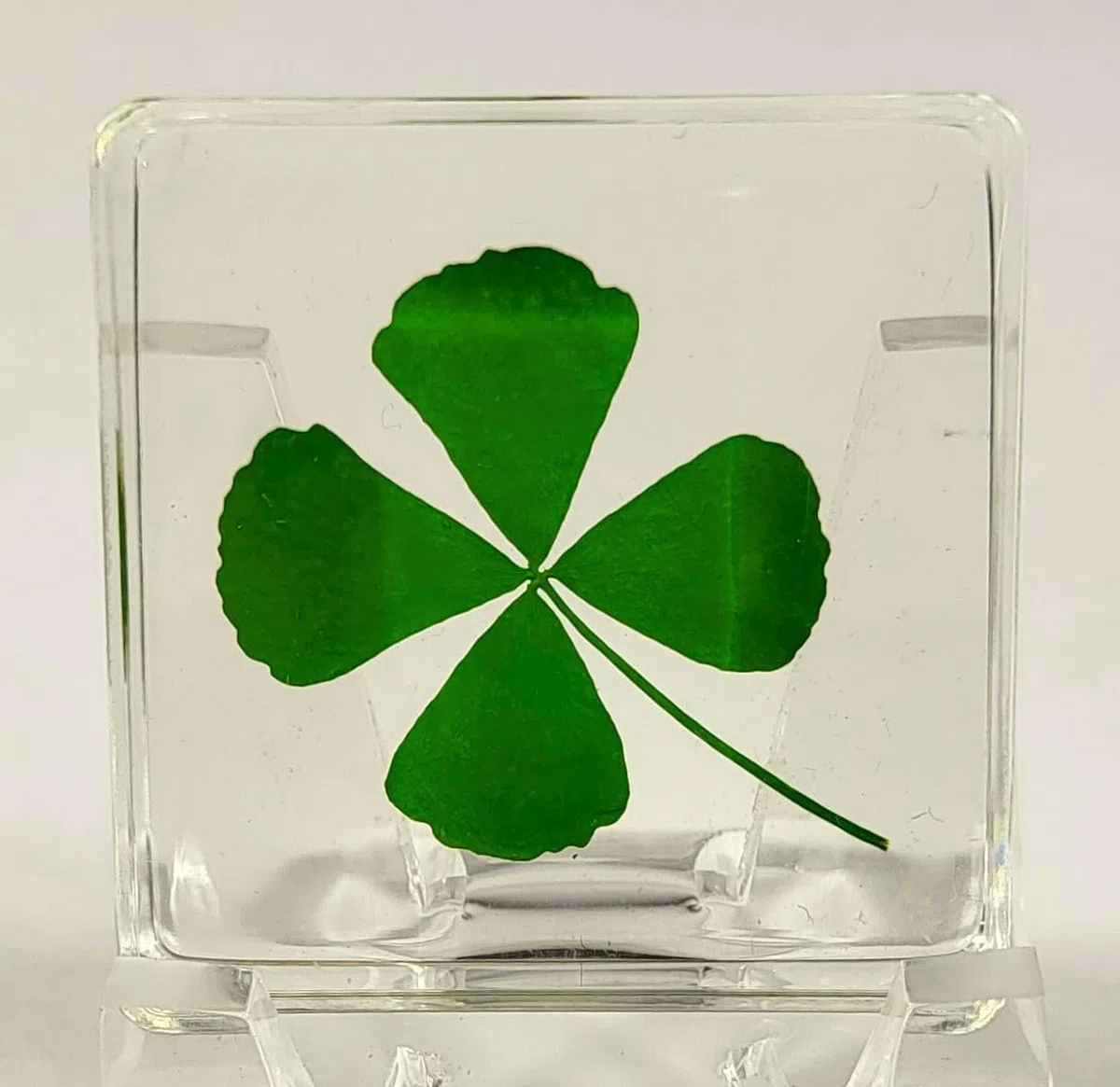 38 mm großes echtes vierblättriges Kleeblatt aus kristallklarem Lucite-Harz. Exemplar „Glücksblatt“ zum St. Patrick's Day, Geschenk- und Bastelsammlung für Botanik, Wissenschaftsunterricht und Schreib