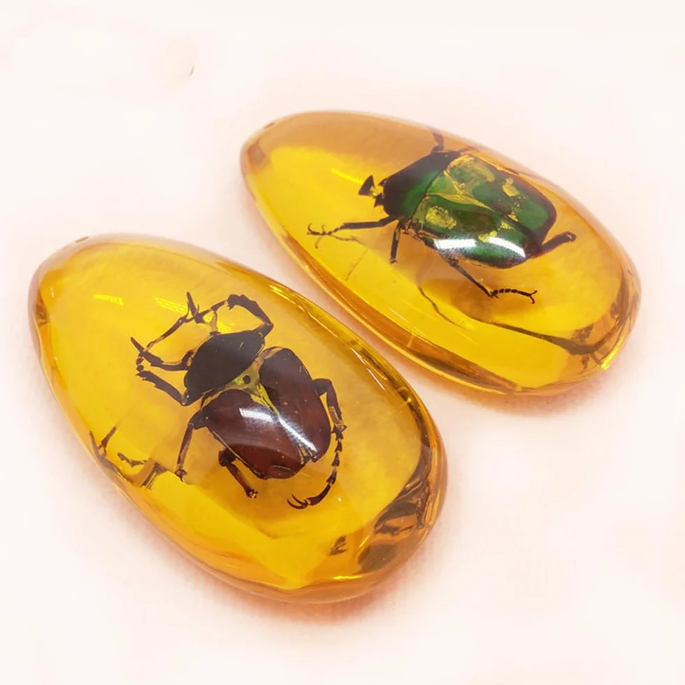 18 Stück Insekten-Bernsteinfossilien, Bernsteinfossil-Anhänger, verschiedene Insektenexemplare,in Harz konservierte Käfer, Lernspielzeug für Kinder und wissenschaftliche Sammlungen –zufällige Muster