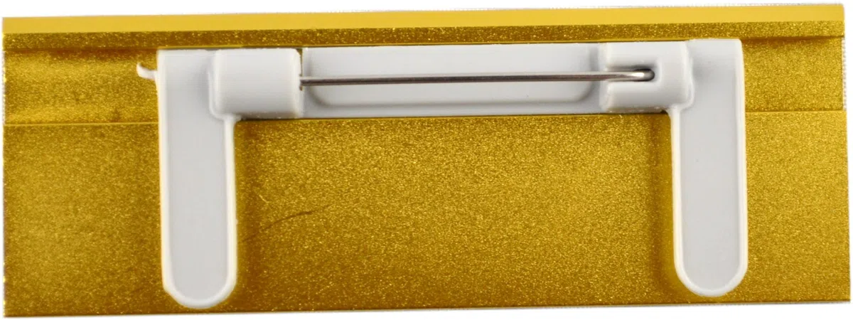 Aluminium Namensschilder goldfarbig aus Metall 70x25 mm mit Magnet und Nadel/Clipkombination individuellem Logodruck Farbdruck für die Kleidung Papiereinschub (100)