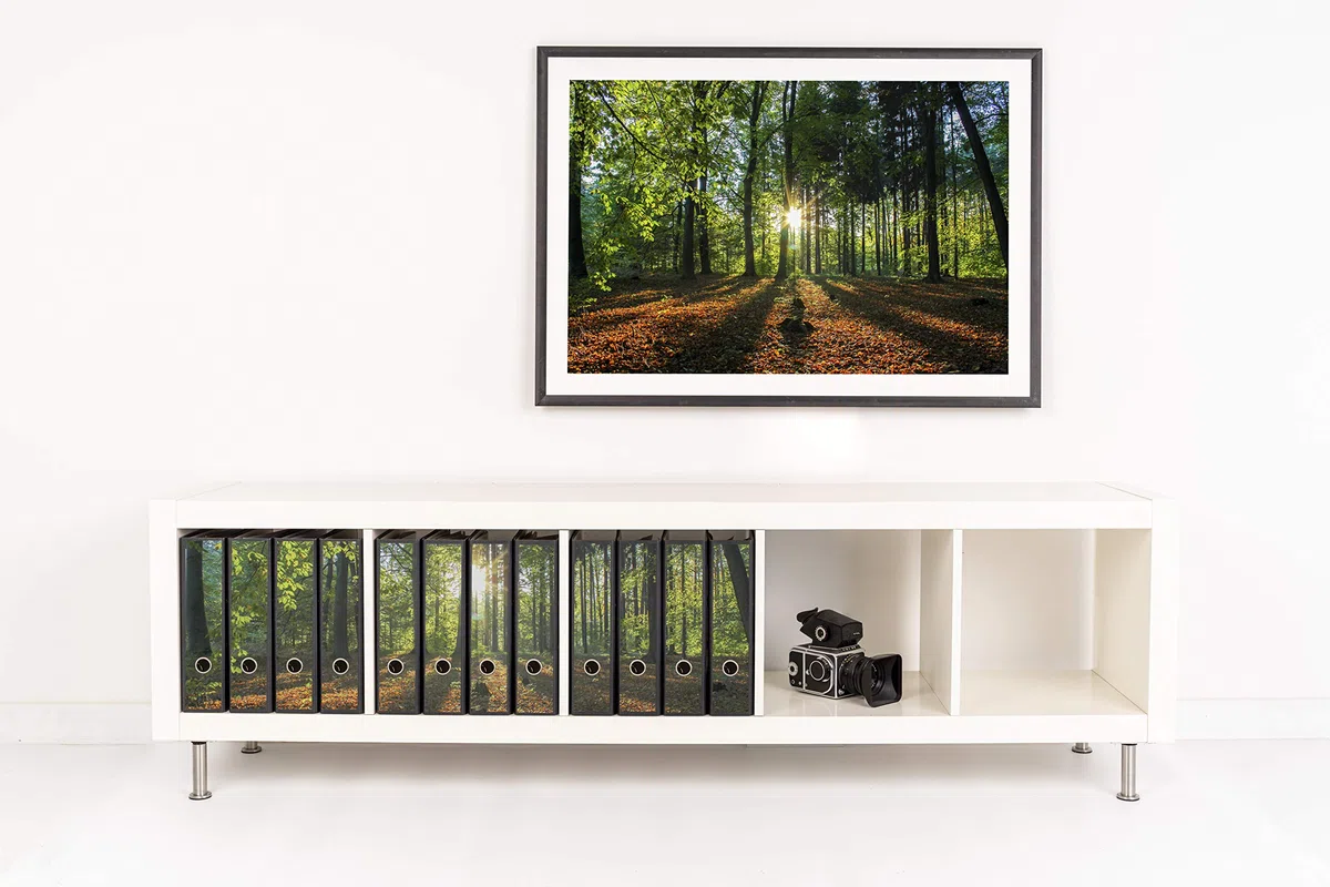 Ordnerrücken selbstklebend für 12 breite Ordner - Buchrücken Etiketten-Set gestantzt mit Griffloch - Ordner-Aufkleber breit - Rückenschilder im Wald-Motiv: Sonnenuntergang auf Waldlichtung