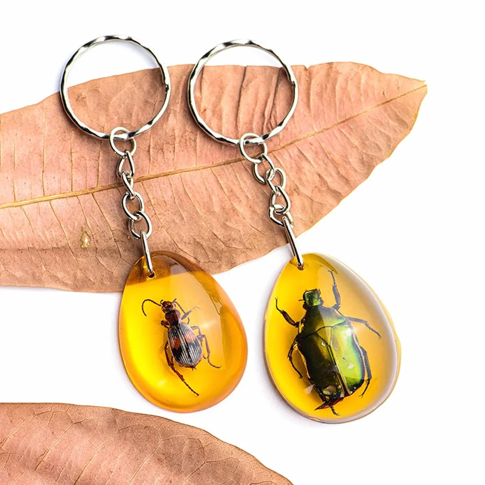 18 Stück Insekten-Bernsteinfossilien, Bernsteinfossil-Anhänger, verschiedene Insektenexemplare,in Harz konservierte Käfer, Lernspielzeug für Kinder und wissenschaftliche Sammlungen –zufällige Muster