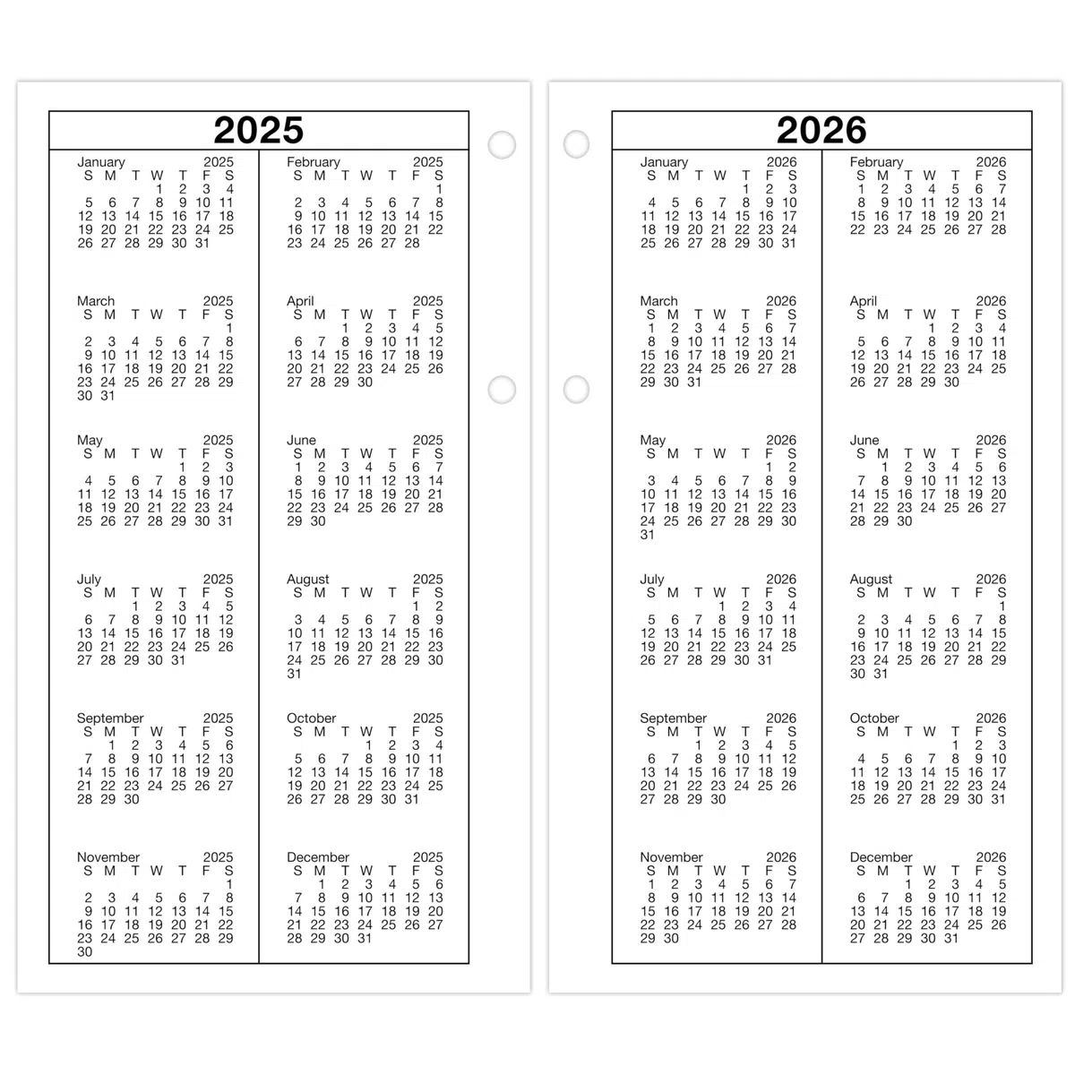 AT-A-GLANCE 2026 Schreibtischkalender-Nachfüllpackung, täglich, 11,4 x 20,3 cm, groß, lose Blätter (E2105026)