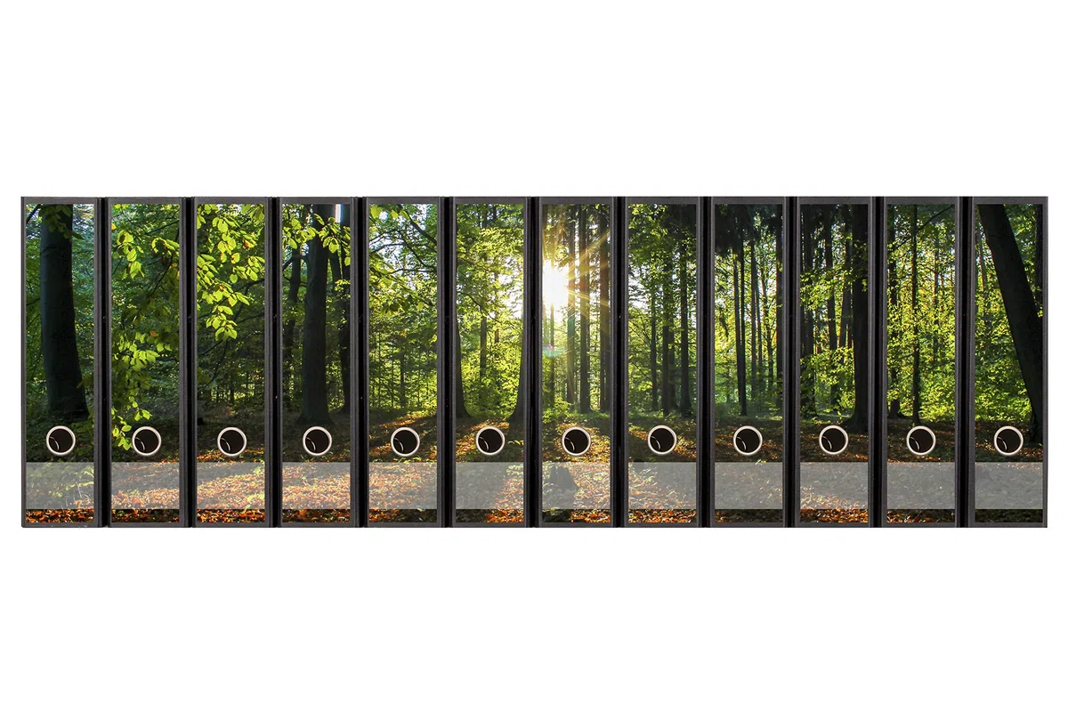 Ordnerrücken selbstklebend für 12 breite Ordner - Buchrücken Etiketten-Set gestantzt mit Griffloch - Ordner-Aufkleber breit - Rückenschilder im Wald-Motiv: Sonnenuntergang auf Waldlichtung