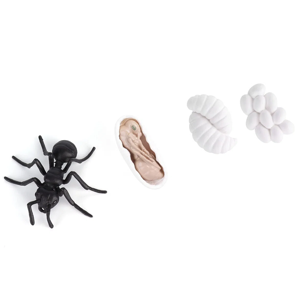 Cryfokt Insekten-Lebenszyklus-Lernfiguren, Ameisen-Wachstumsmodell, Spielzeug für, 4 Stück, Mücken-Lebenszyklus für Schulprojekte, Langlebiges Material (M4183 Ameise (50,5 g))