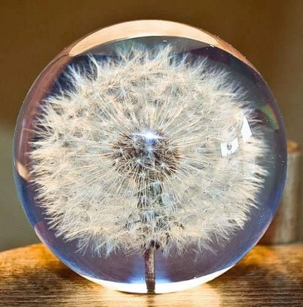 Briefbeschwerer mit Löwenzahn-Traumkugel, Kristall-Wunschkugel, einzigartiger Pusteblumen-Briefbeschwerer, 7 cm Durchmesser