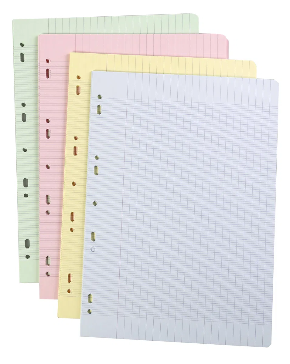 Clairefontaine 17511C - Packungen Ringbucheinlagen mit 250 Blatt A4 (21x29,7 cm) 90g gelocht, französische Lineatur, 4 Farben sortiert